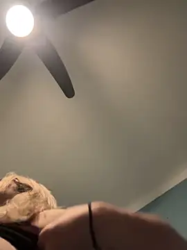 Annelibre online show from 11.14.25