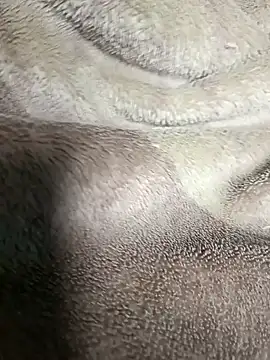 AssamSilchar93 online show from 01.20.25