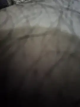 Snapshot of Piter1022 chatting on 11.01.25 Piter1022 online show from 11.01.25