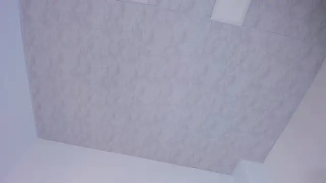 Snapshot of Brianna_bigboobs chatting on 12.29.24 Brianna bigboobs online show from 12.29.24