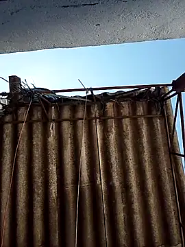 Percybr4561 online show from 10.25.25