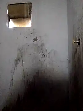 Percybr4561 online show from 11.01.25