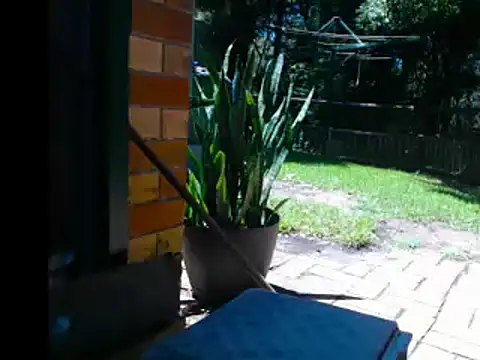 InfamousBabyy  online show from 12.12.24