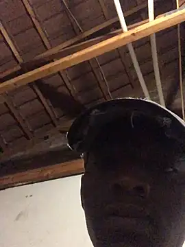 Snapshot of thekidrose chatting on 12.02.25 thekidrose online show from 12.02.25