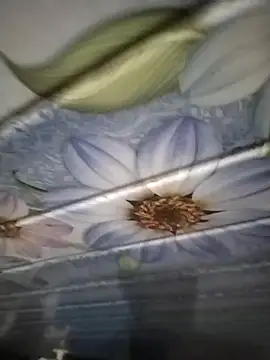 Snapshot of kunalmishra2003 chatting on 11.20.25 kunalmishra2003 online show from 11.20.25