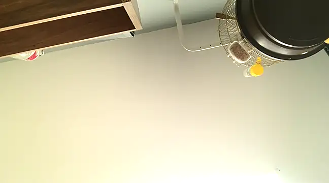 Snapshot of themany29 chatting on 01.27.25 themany29 online show from 01.27.25