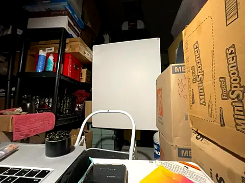 Snapshot of wynterheat chatting on 12.02.25 wynterheat online show from 12.02.25