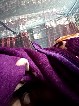 900irani online show from 12.17.24