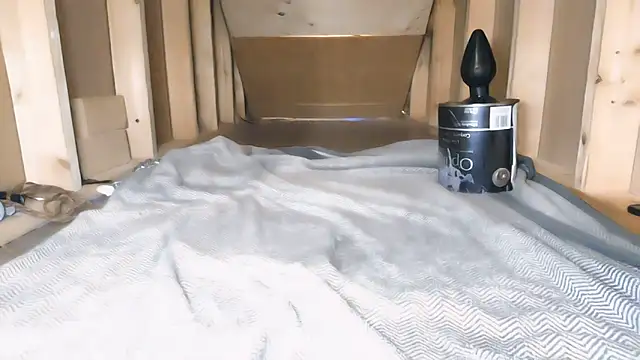 cbtbetaloser online show from 11.08.25