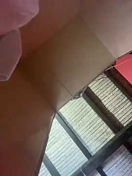 Dalton oficial online show from 02.13.26