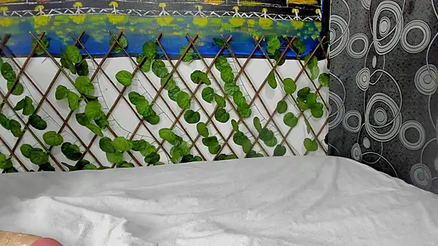 ANEVANS2 online show from 01.13.25