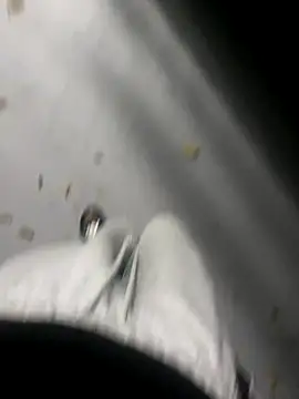 zeekBbc online show from 11.16.25