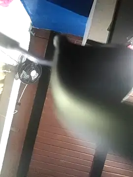 love evelin online show from 02.28.25