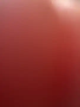 portugadopau online show from 09.10.25