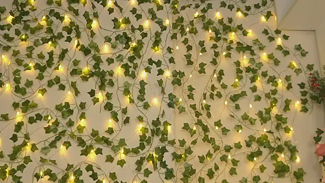 Brenda M00n online show from 01.05.25