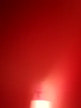 Snapshot of branquinho000007 chatting on 11.12.25 branquinho000007 online show from 11.12.25