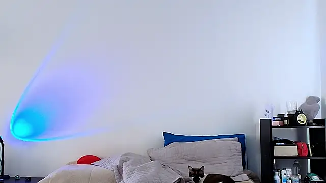 Snapshot of anika_lowen02 chatting on 02.06.25 anika lowen02 online show from 02.06.25