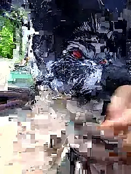 papi lover12 online show from 05.23.26