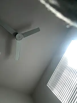 Snapshot of PointingPetrol chatting on 01.05.26 PointingPetrol online show from 01.05.26