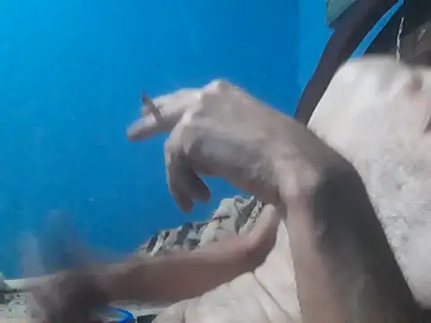 hugosafado333 online show from 10.15.25