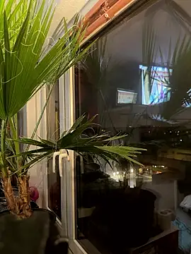 pillepallex84x online show from 01.09.26