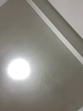 Snapshot of islandvybee55 chatting on 01.03.25 islandvybee55 online show from 01.03.25