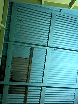 Snapshot of islandvybee55 chatting on 12.16.25 islandvybee55 online show from 12.16.25