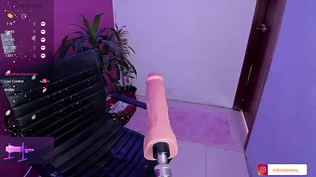  sulmatevans  online show from 01.19.25