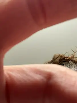 laninasub online show from 04.23.26