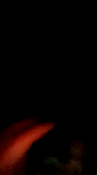 doggiepossession online show from 03.07.25