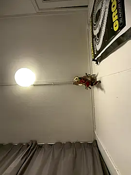 wolfwhite95 online show from 11.14.25