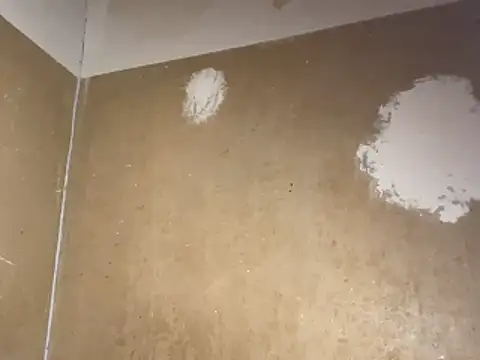 saint cat25 online show from 02.20.26