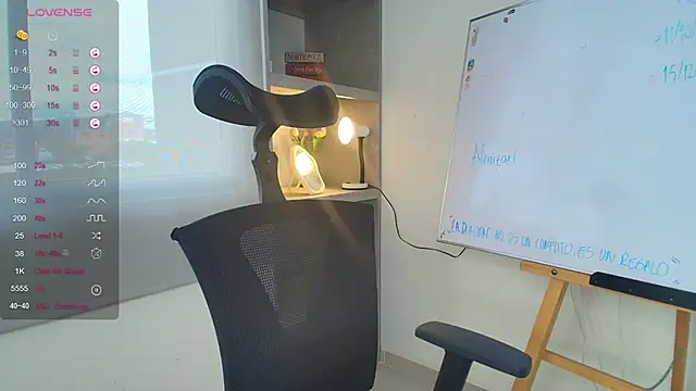 Snapshot of pauliCarter chatting on 11.11.25 pauliCarter online show from 11.11.25