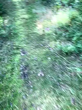 Snapshot of Zbochunec chatting on 09.13.25 Zbochunec online show from 09.13.25