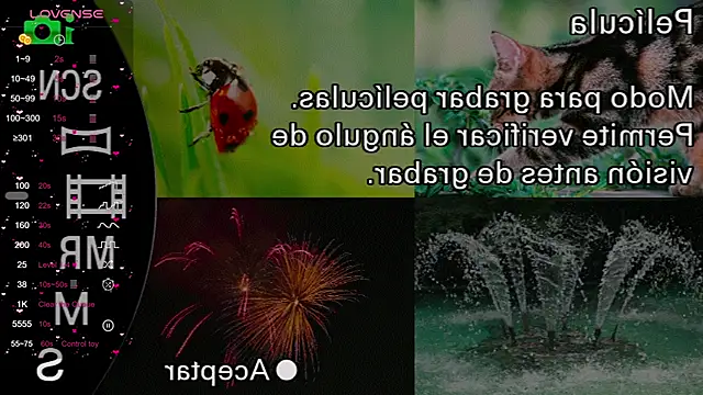 milly kenner online show from 12.11.24