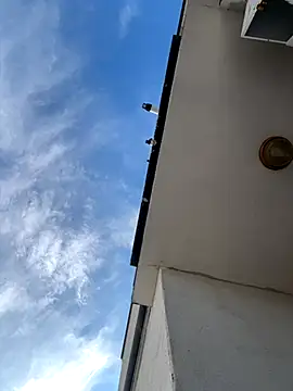 eddy355 online show from 11.09.25