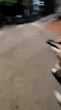 aurelialux online show from 02.01.25