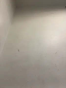 Snapshot of honeybrow chatting on 01.08.25 honeybrow online show from 01.08.25