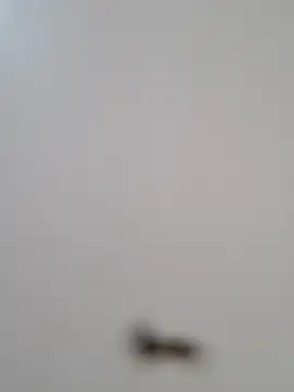 Snapshot of BriannaVincent chatting on 10.29.25 BriannaVincent online show from 10.29.25