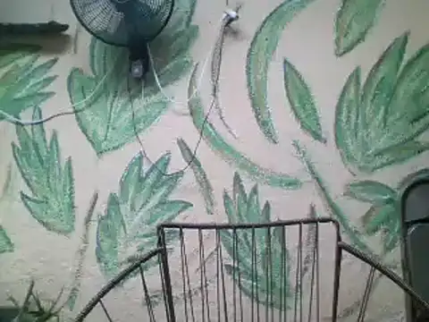 friendsloversex online show from 03.21.25