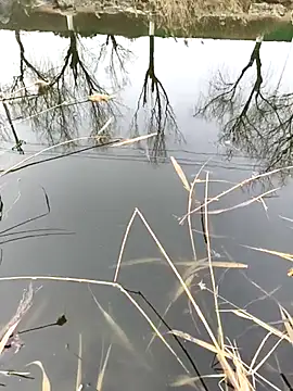 huzi518 online show from 02.27.25