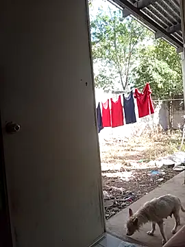 Snapshot of Andresguz35 chatting on 02.08.26 Andresguz35 online show from 02.08.26