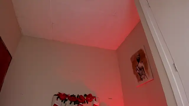 Snapshot of dani_skinny_ chatting on 12.27.24 dani skinny  online show from 12.27.24