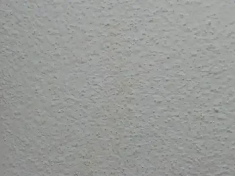 JESSYCORTES online show from 04.21.26