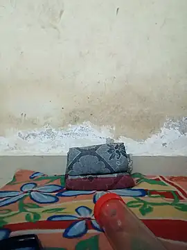 Newalcock online show from 02.10.25