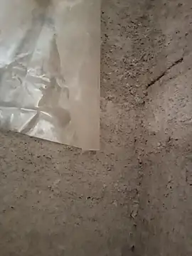 Snapshot of strip_1212 chatting on 11.29.25 strip 1212 online show from 11.29.25