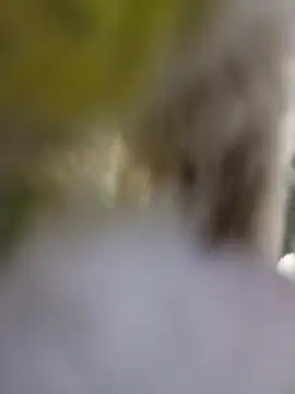 Snapshot of strip_1212 chatting on 01.06.26 strip 1212 online show from 01.06.26