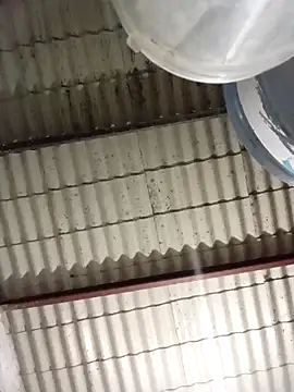 Snapshot of strip_1212 chatting on 03.08.26 strip 1212 online show from 03.08.26