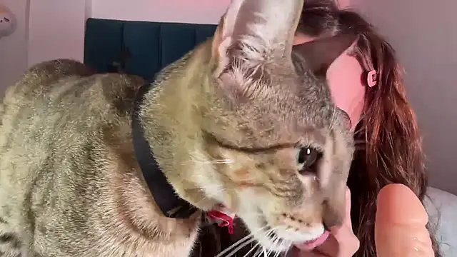 alice guerin  online show from 02.20.26