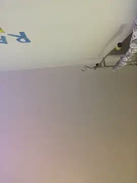 Snapshot of Meliss_Official9 chatting on 10.27.25 Meliss Official9 online show from 10.27.25